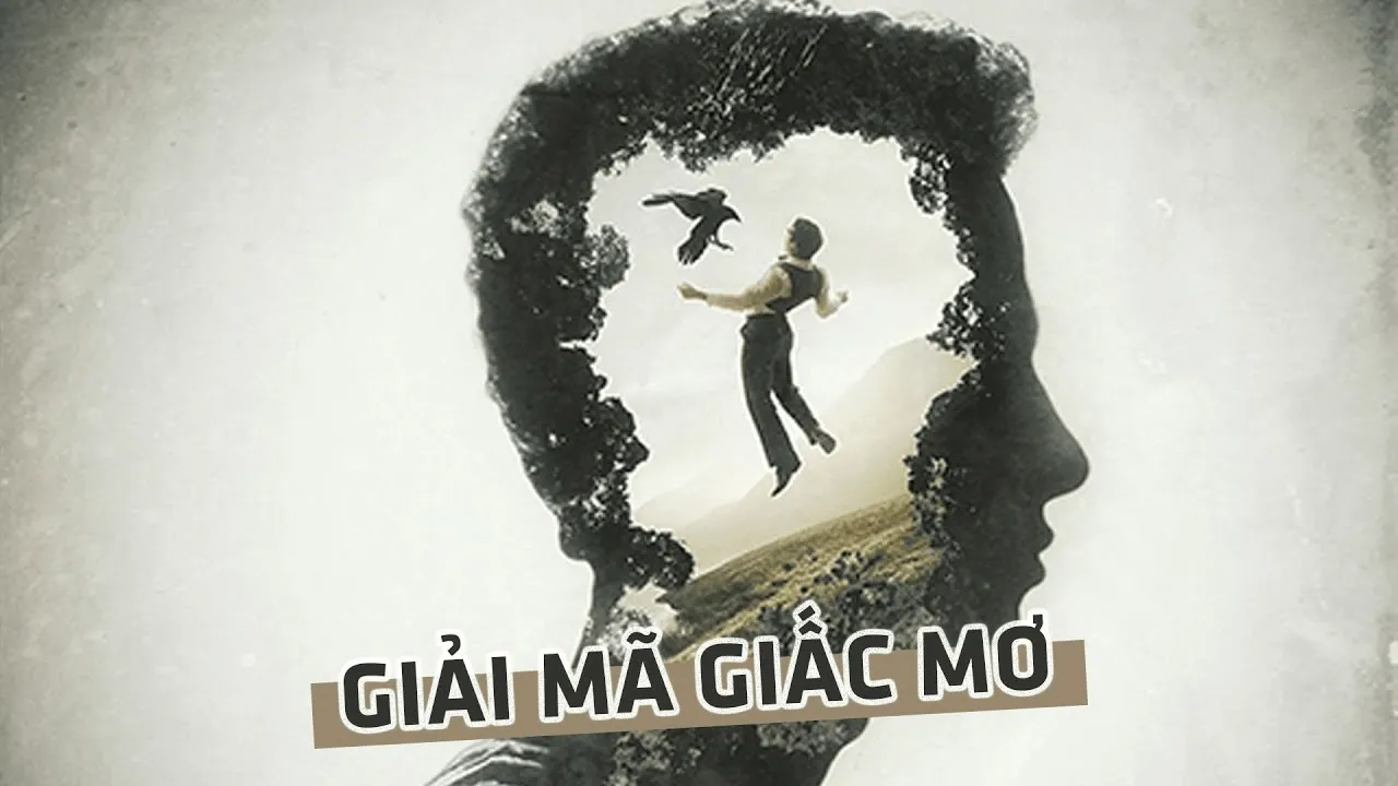 giai-ma-giac-mo-thay-ca-heo-2-min_11zon